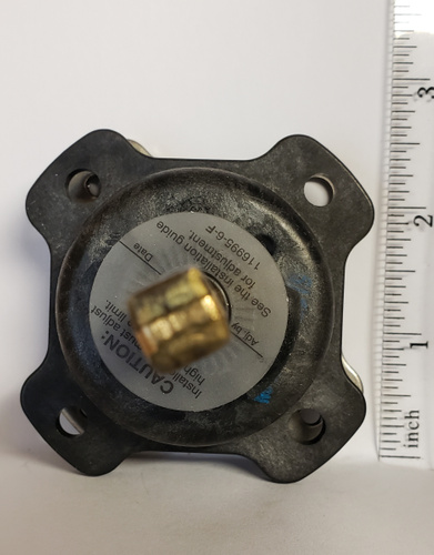 GP77886 image